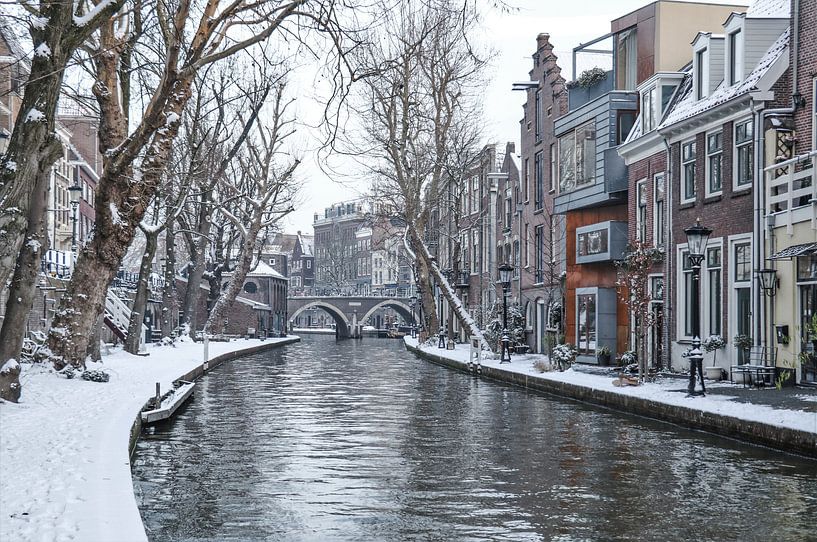 Een winterse plaat van de besneeuwde Twijnstraat a/d Werf in Utrecht, NL par Arthur Puls Photography