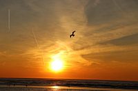 Zandvoort zonsondergang