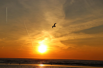  Zandvoort zonsondergang 
