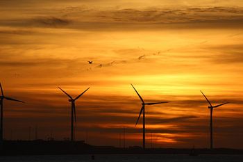 Net na de zonsondergang