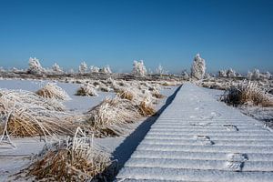 Winter in de Hoge Venen van Heinz Grates