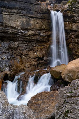 Une vache échappe à des chutes d'eau à Farchant, en Haute-Bavière