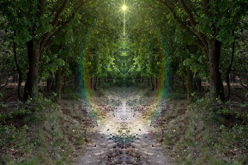 Mysterious kaleidoscopic forest path