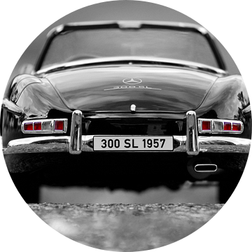 Mercedes Benz 300 SL - 1957 van Ronald George