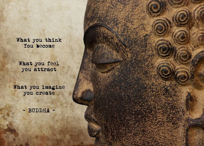 Wisdom by Michelle Coppiens
