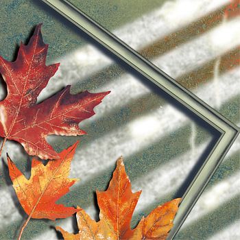 Herbstplatinum - herbstliche Wärme trifft geometrische Linien