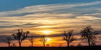 Spaziergang im Abendrot von Uwe Ulrich Grün Miniaturansicht