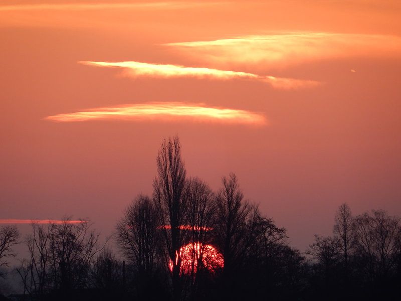 sunrise by bert jorritsma