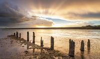 Gegenlicht im Wattenmeer