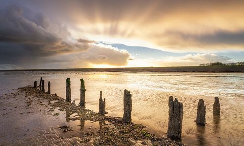 Tegenlicht op het Wad
