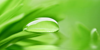Gouttes d'eau