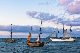 Segelschiffe auf der Ostsee in Warnemünde während der Hanse Sa von Rico Ködder
