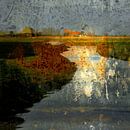 Abstract Waterland van Ger Veuger thumbnail