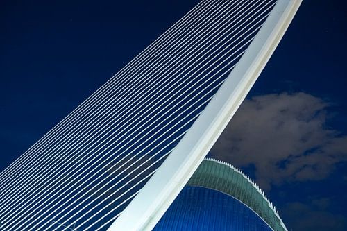 de snaren van Calatrava, Valencia van Peter de Ruig
