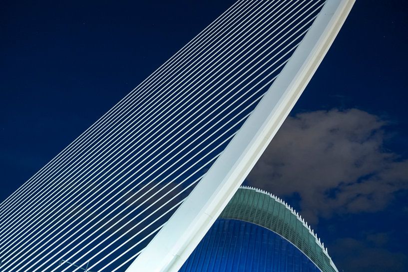 de snaren van Calatrava, Valencia by Peter de Ruig