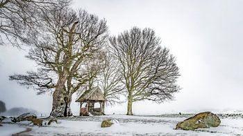Kroezeboom bei Fleringen