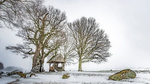 Kroezeboom bij Fleringen
