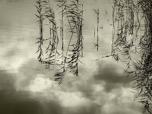 Reflecties van riet en wolken in een stil meertje