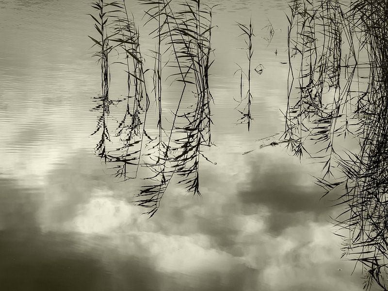 Reflecties van riet en wolken in een stil meertje van Anneriek de Jong