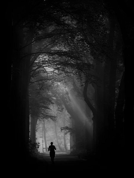 Leuvenum Wald von Eddy Westdijk