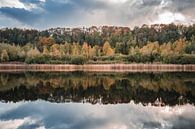 Reflection by Marco de Graaff thumbnail