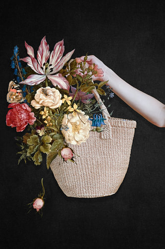Shopping the Golden Age von Marja van den Hurk