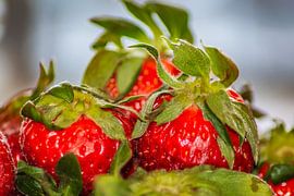 Fraises