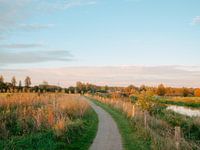 Sunset near a dirt track between meadows along the Berkel River