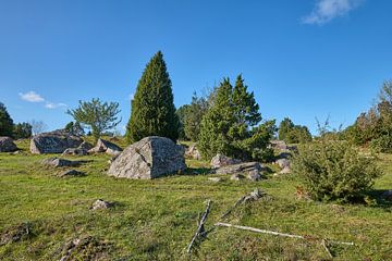 Suède 607 sur Geertjan Plooijer