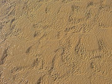 Patronen in water en zand