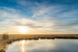 Zonsopkomst boven de venen