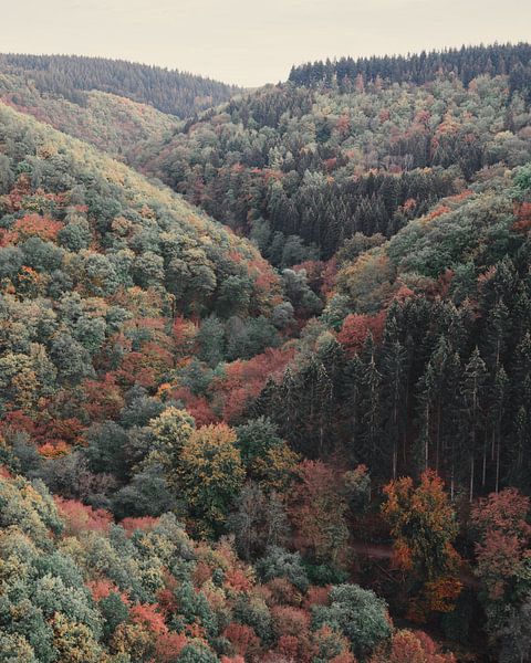 Zigzaggende Natuur van Wahid Fayumzadah