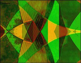 F.2.5 sur rita sacco