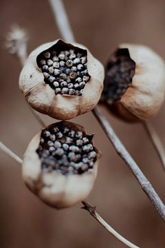 Tiny Baskets von Treechild