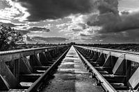 Endless