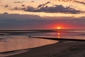Sunset by Dimitri van den Berg