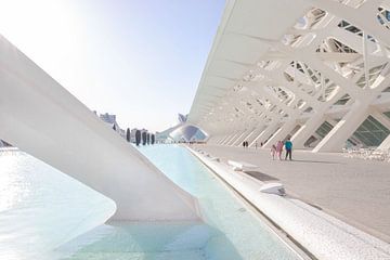 Architectuur Stad van de kunsten en wetenschap Valencia van Déwy de Wit