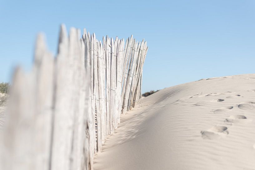 Rustic Beach Fence von DsDuppenPhotography