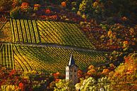 Herbst am Rhein von Harrie Muis Miniaturansicht