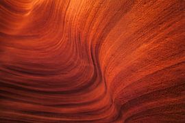 Stationary motion by Loris Photography