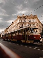 Rote Straßenbahn (Tram) in Prag