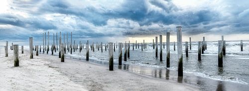 chapeaux de village d'anguilles