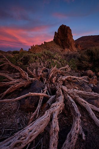 Parc Teide