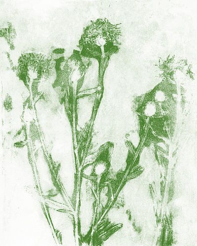 Groene bloemen op wit. Natuurlijk leven. Botanische kunst in pastelkleuren.