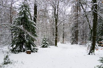 Paysage hivernal dans une forêt enneigée en hiver sur Sjoerd van der Wal Photographie
