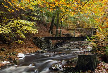 La Hoegne,Ardennen