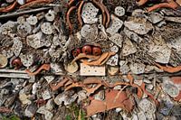 Gros plan sur un hôtel d'insectes
