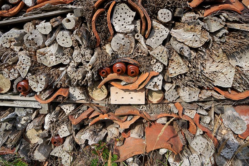 Close-up insect hotel by Lisanne Storm