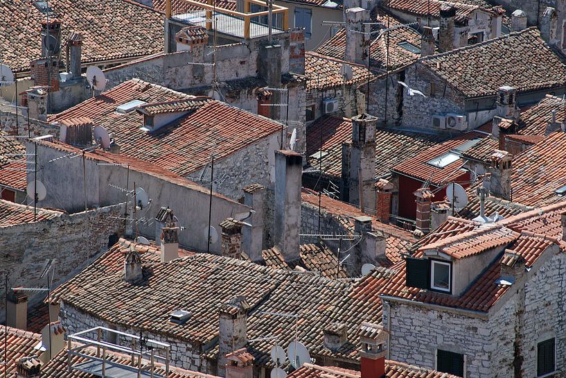 Een wirwar van rood gekleurde daken in een zuidelijk havenstadje in Istrië. van Gert van Santen