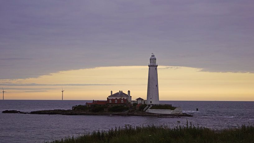 St. Mary's Lighthouse von Babetts Bildergalerie